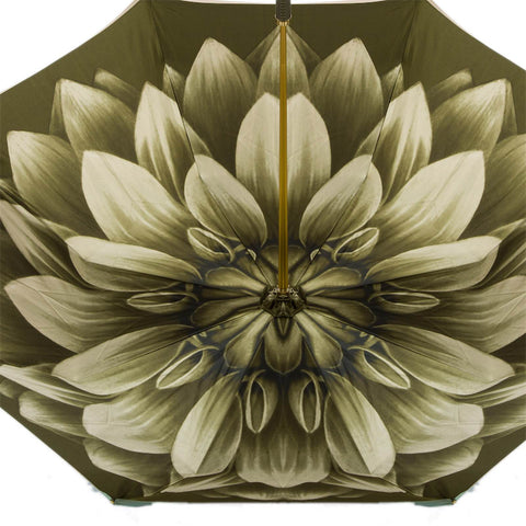 Green Dahlia Umbrella, Double Cloth