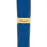 Blue Umbrella with Gold Lion handle