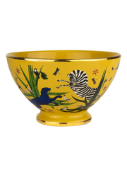 Bowl Jungle Sahara