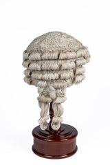 Coconut Fibre Barrister’s Wig